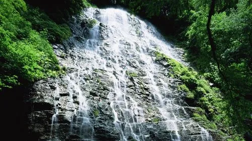 高效高端稳定性